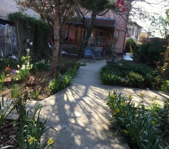 Imagini exterior (clădire şi grădină)