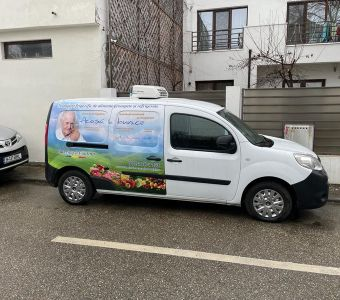 Flota auto a căminului