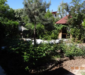 Imagini exterior (clădire şi grădină)