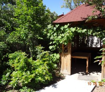 Imagini exterior (clădire şi grădină)