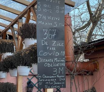 Imagini exterior (clădire şi grădină)